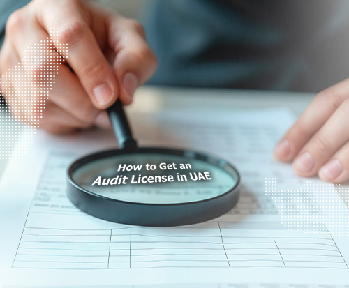 audit